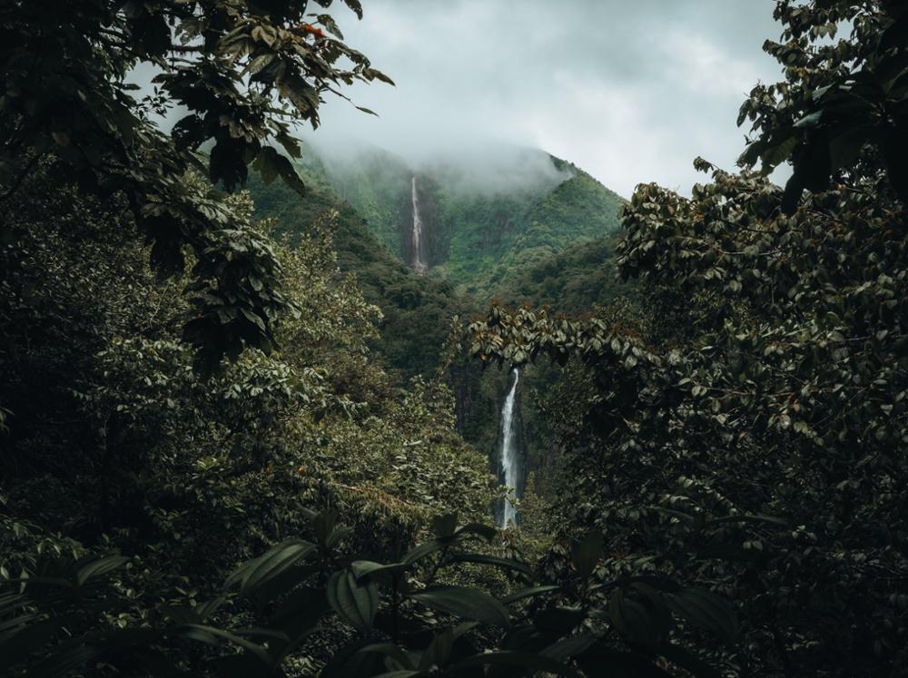 Les plus belles cascades de Guadeloupe