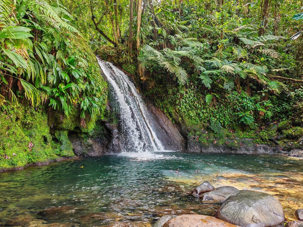 Les plus belles cascades de Guadeloupe