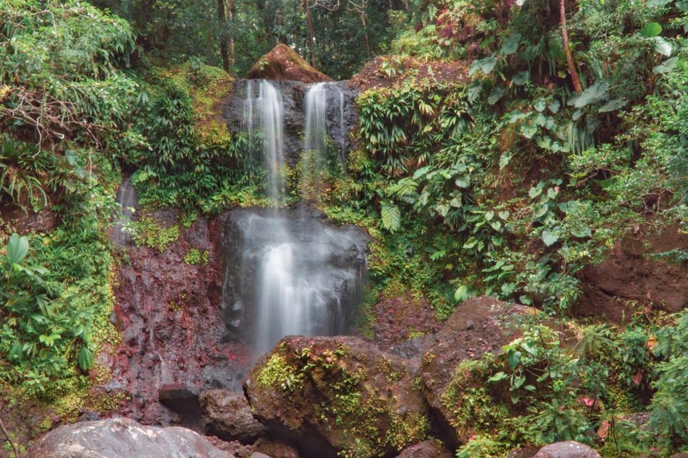 Les plus belles cascades de Guadeloupe