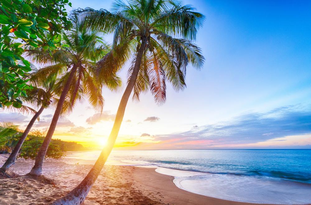 Meilleurs spots pour observer le coucher de soleil en Guadeloupe