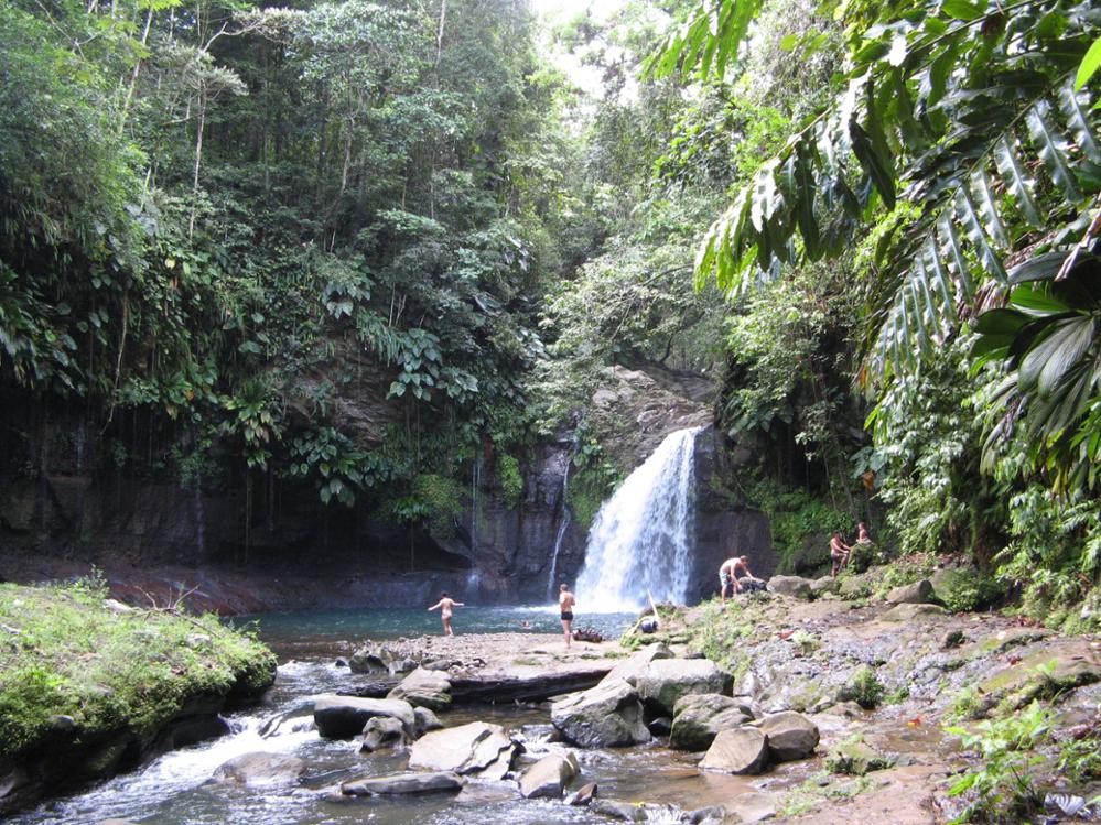 Les plus belles cascades de Guadeloupe